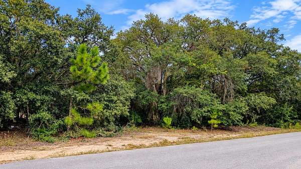 0.4 Acres of Residential Land for Sale in Ocklawaha, Florida