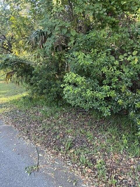 0.14 Acres of Residential Land for Sale in Apalachicola, Florida
