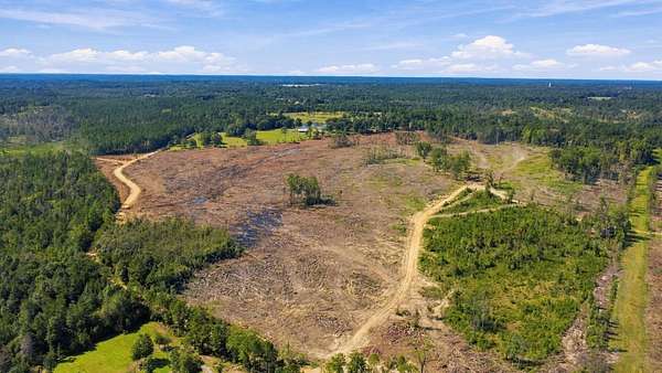 140 Acres of Recreational & Residential Land for Sale in Leakesville, Mississippi