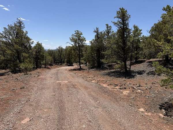 24.9 Acres of Recreational & Residential Land for Sale in Ramah, New Mexico