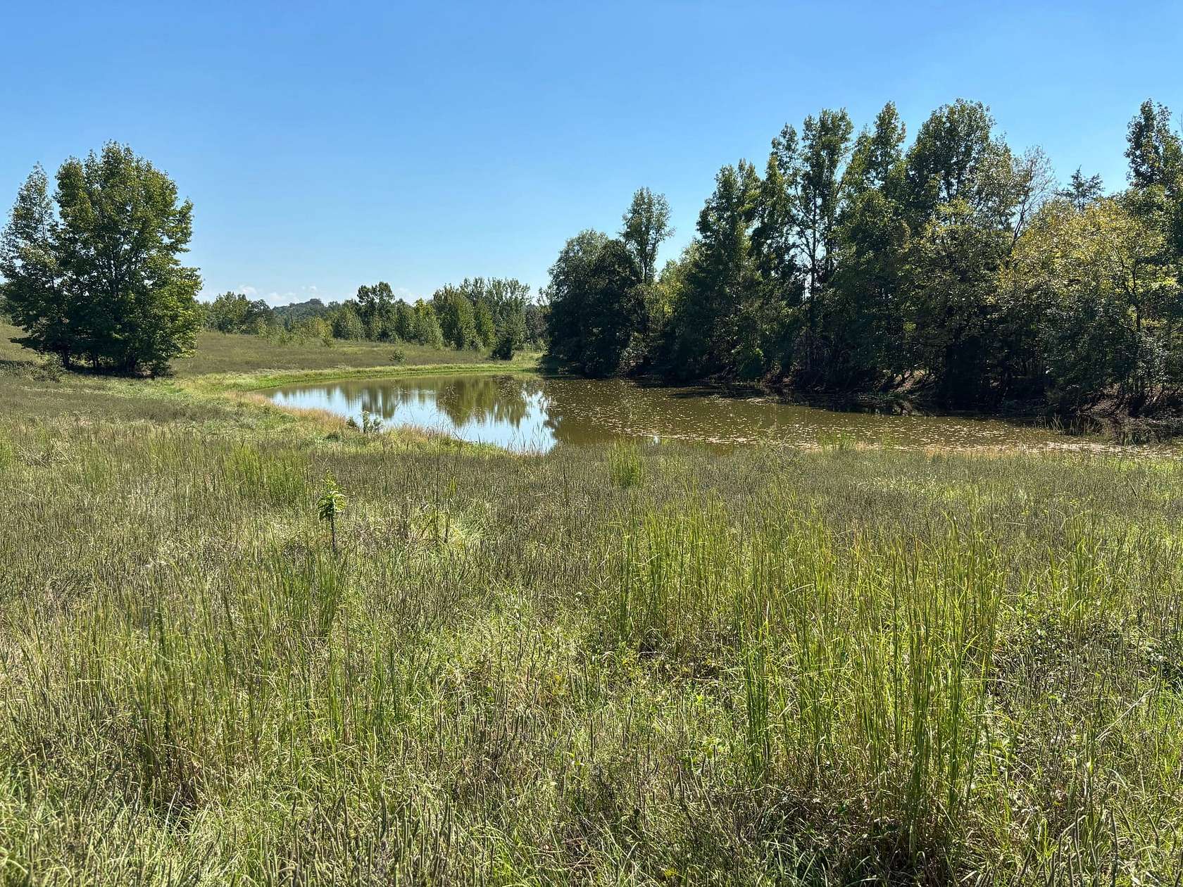 103 Acres of Recreational Land for Sale in Dover, Arkansas