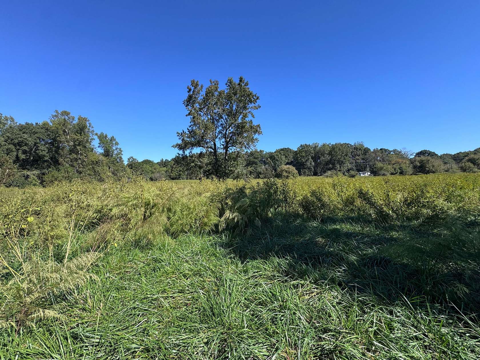 30.9 Acres of Land with Home for Sale in Commerce, Georgia