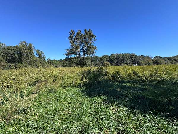30.9 Acres of Land with Home for Sale in Commerce, Georgia
