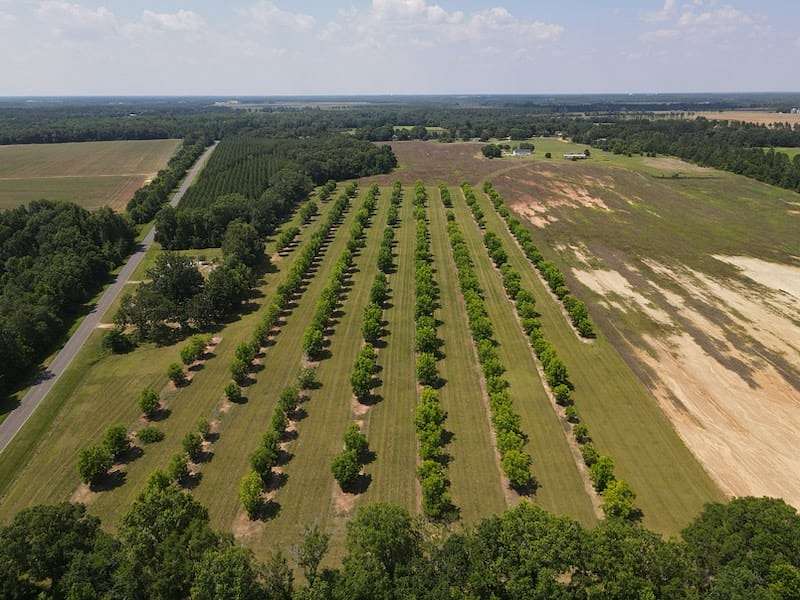 53 Acres of Land for Sale in Dawson, Georgia