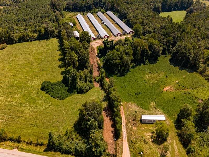 31 Acres of Agricultural & Residential Land for Sale in Decatur, Mississippi