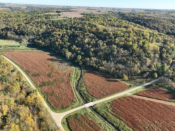 31.8 Acres of Land for Sale in Luana, Iowa