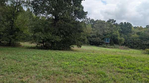 79.1 Acres of Land for Sale in Collins, Missouri