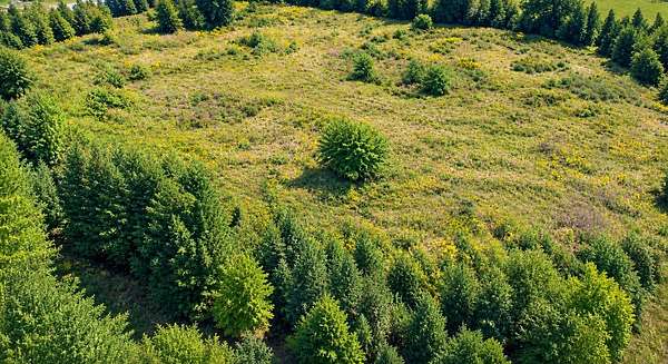 0.83 Acres of Commercial Land for Sale in Bloomfield, Kentucky