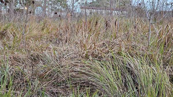 0.19 Acres of Residential Land for Sale in Belleview, Florida
