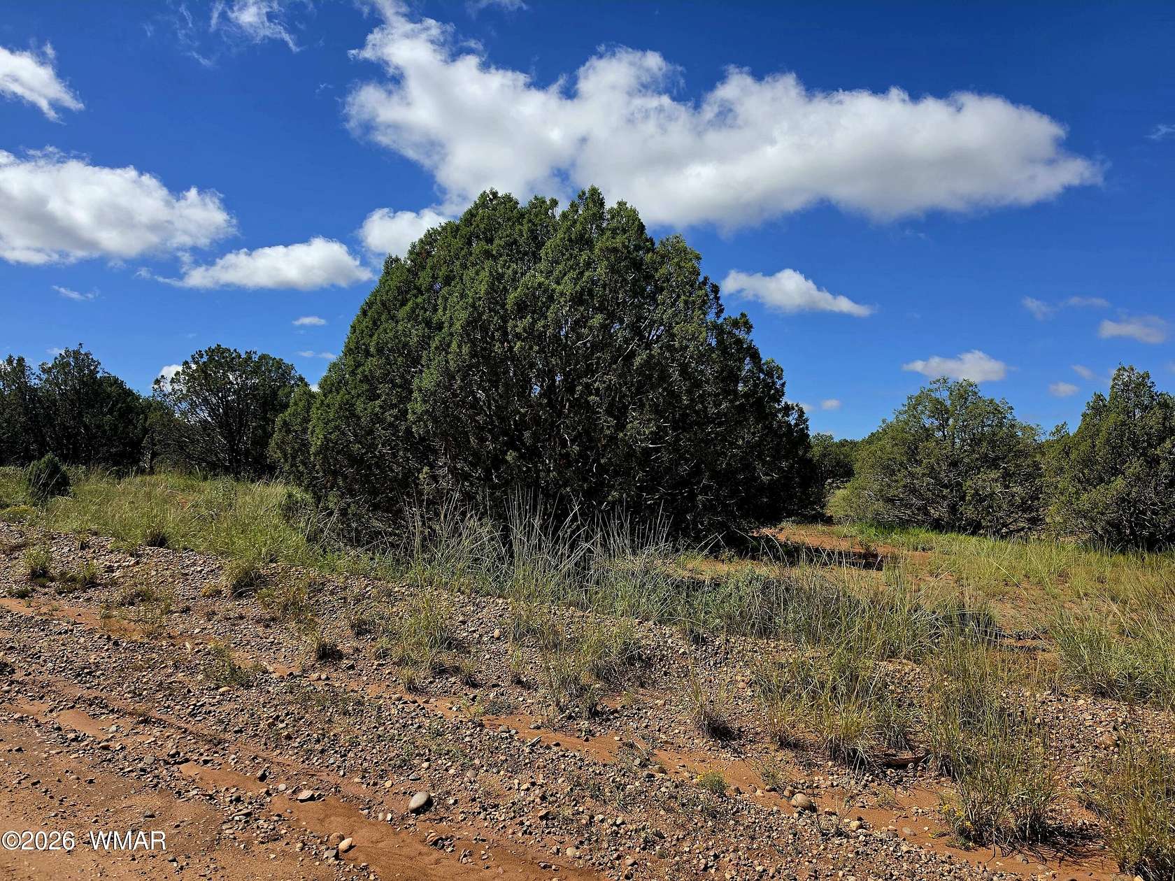 2.24 Acres of Residential Land for Sale in Snowflake, Arizona