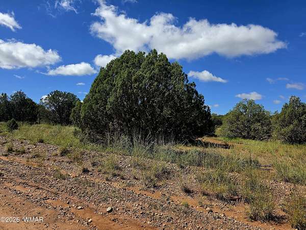 2.24 Acres of Residential Land for Sale in Snowflake, Arizona