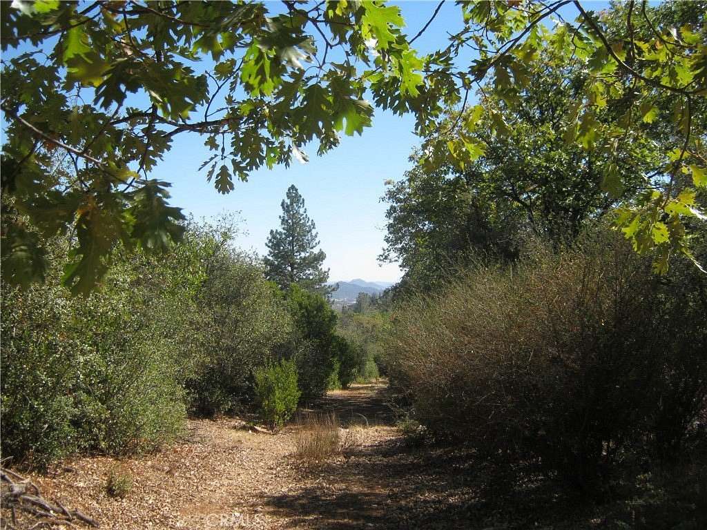 58 Acres of Agricultural Land for Sale in Lower Lake, California