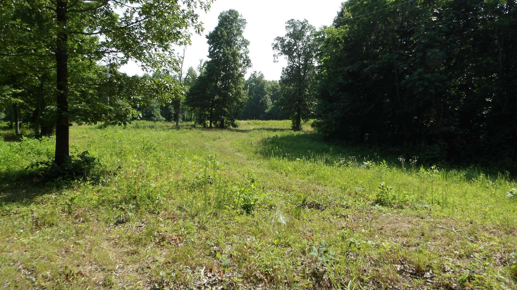 13.9 Acres of Recreational & Residential Land for Sale in Gainesboro, Tennessee