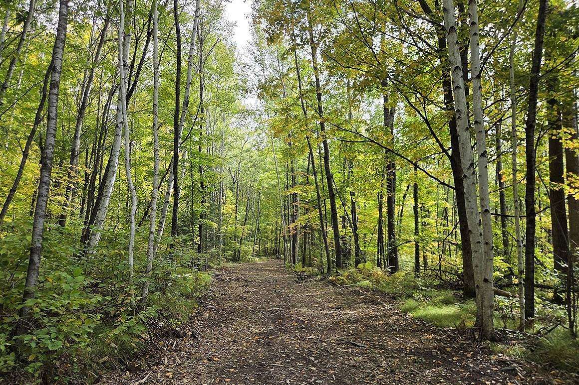5 Acres of Land for Sale in Crandon, Wisconsin