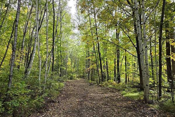 5 Acres of Land for Sale in Crandon, Wisconsin