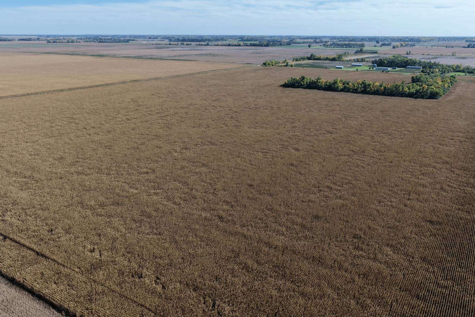 80 Acres of Land for Auction in Davenport, North Dakota