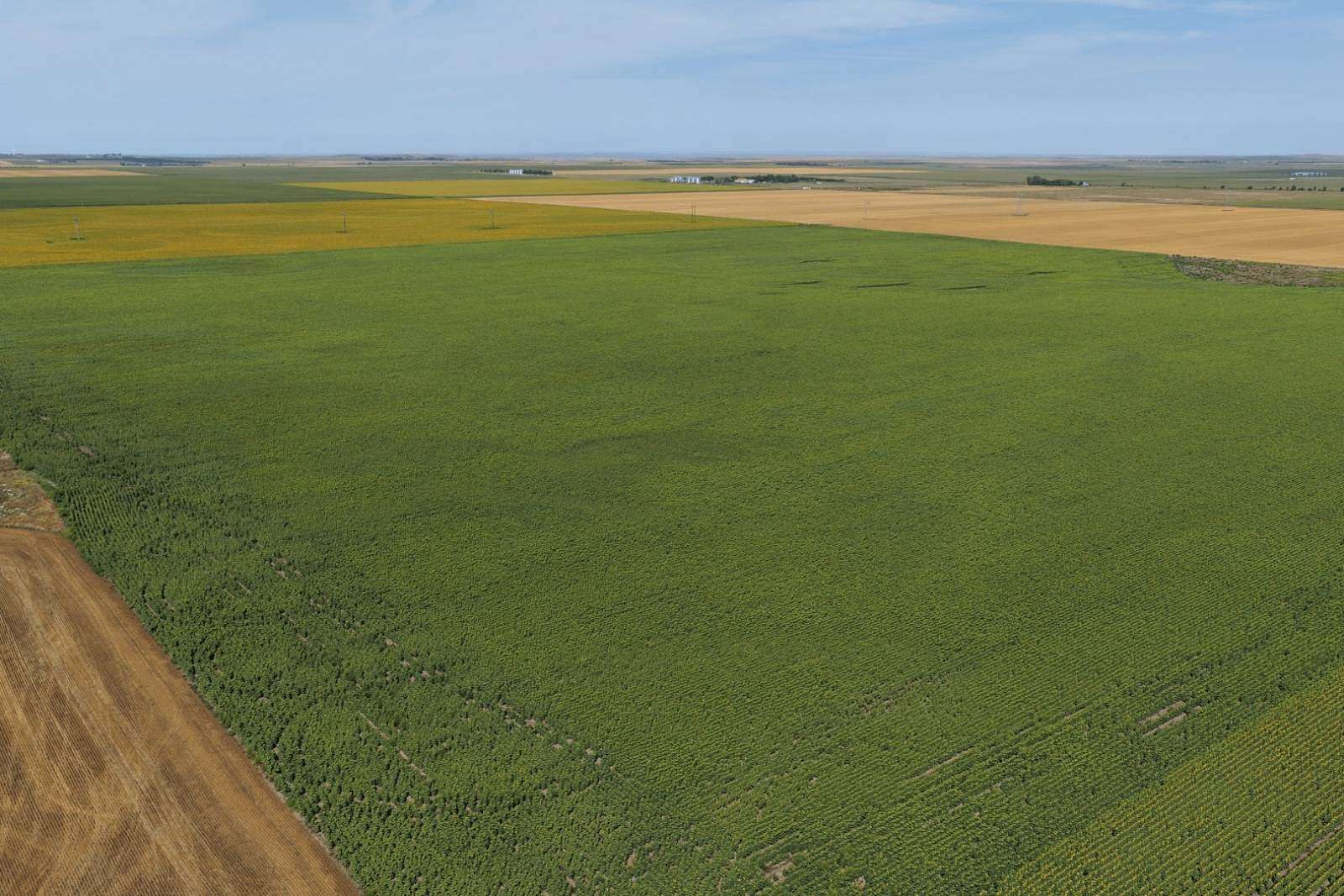 160 Acres of Agricultural Land for Auction in Onida, South Dakota