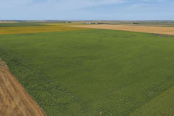 160 Acres of Agricultural Land for Auction in Onida, South Dakota