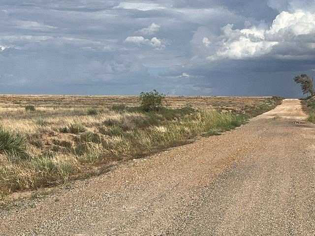 160 Acres of Land for Sale in Roby, Texas
