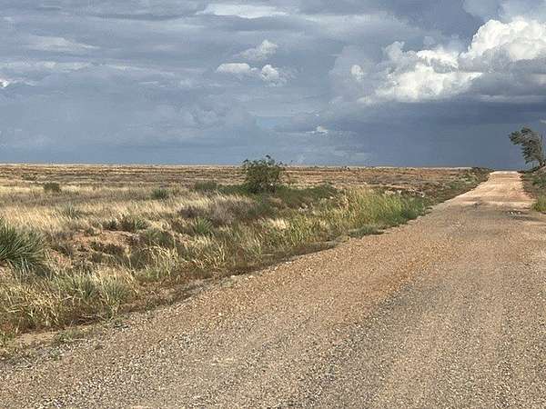 160 Acres of Land for Sale in Roby, Texas