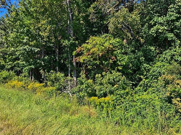 5.37 Acres of Mixed-Use Land for Sale in Accomac, Virginia