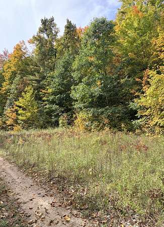10.6 Acres of Recreational Land for Sale in Frederic, Michigan