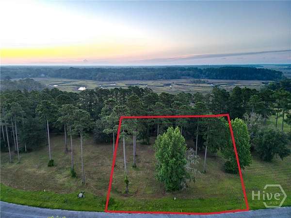 0.69 Acres of Residential Land for Sale in Townsend, Georgia