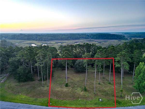 0.69 Acres of Residential Land for Sale in Townsend, Georgia
