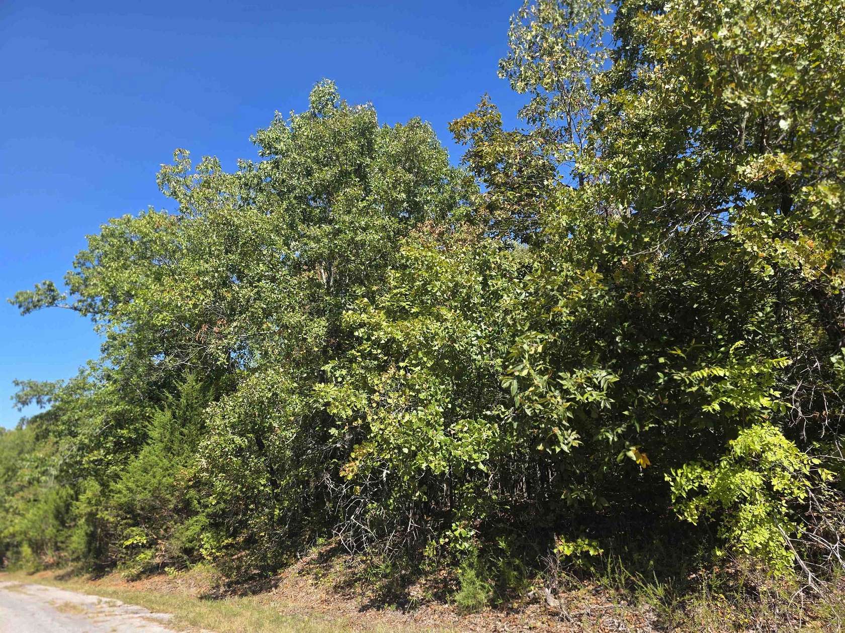 0.28 Acres of Residential Land for Sale in Horseshoe Bend, Arkansas