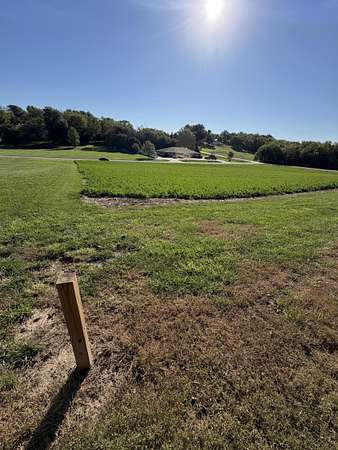 1 Acre of Residential Land for Sale in Sidney, Iowa