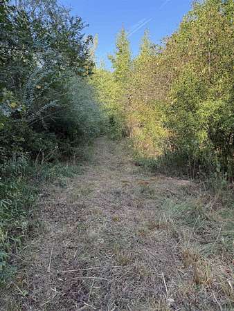 122 Acres of Recreational & Residential Land for Sale in Glen Rose, Arkansas