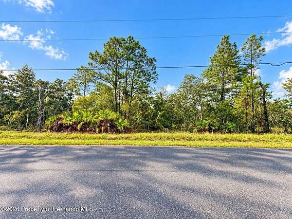 0.46 Acres of Residential Land for Sale in Brooksville, Florida
