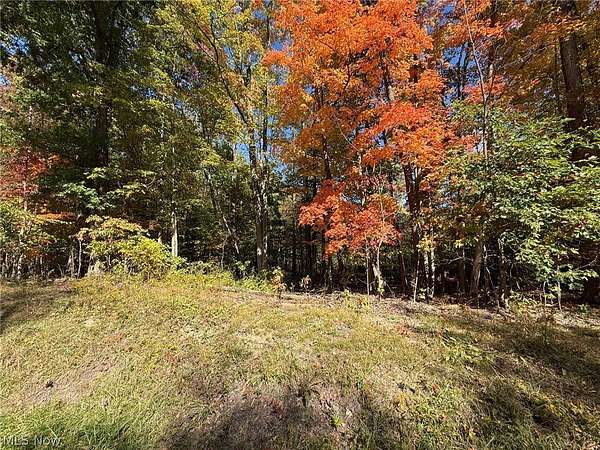 3.15 Acres of Residential Land for Sale in Leroy Township, Ohio