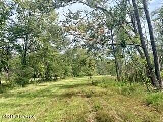30 Acres of Land for Sale in Como, Mississippi