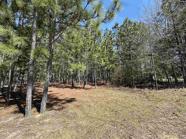 2.89 Acres of Residential Land for Sale in Gaston, South Carolina