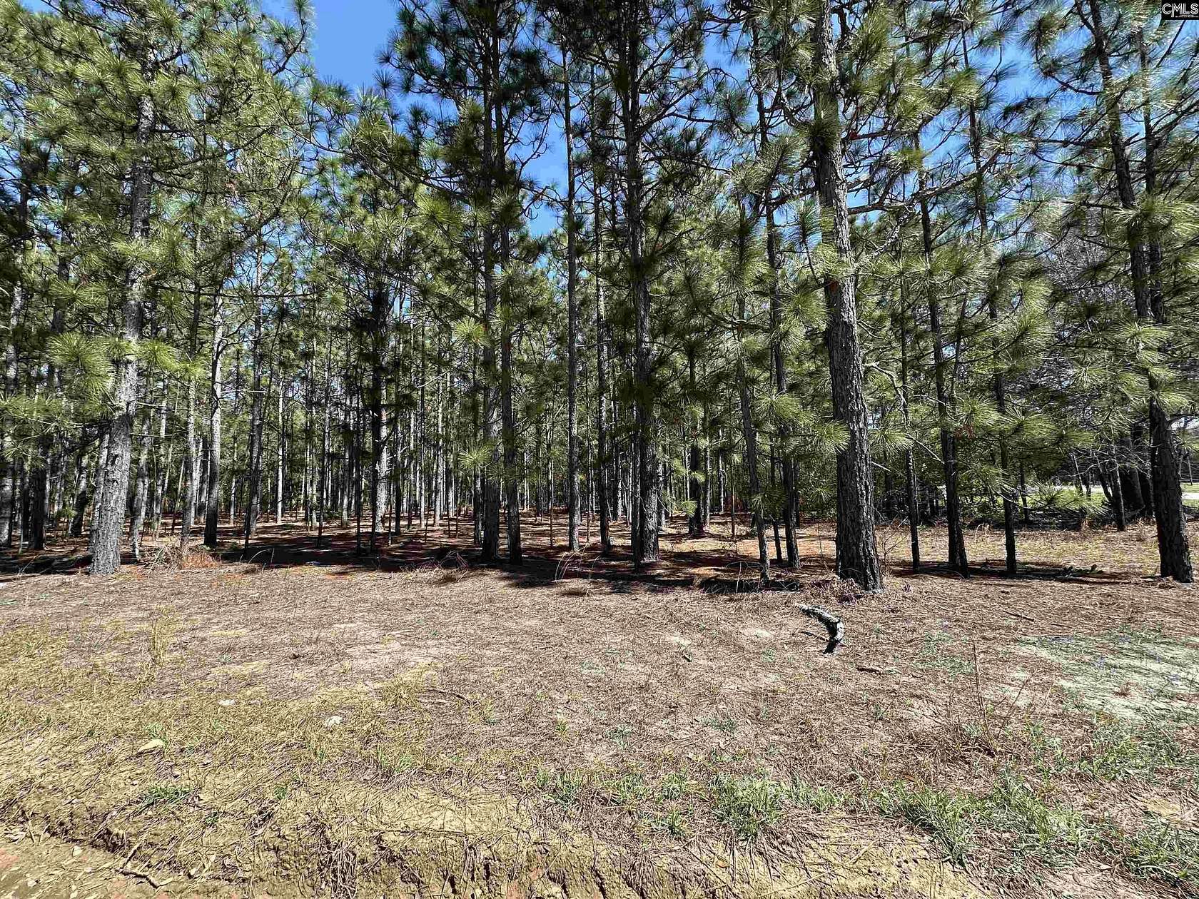 13 Acres of Land for Sale in Gaston, South Carolina