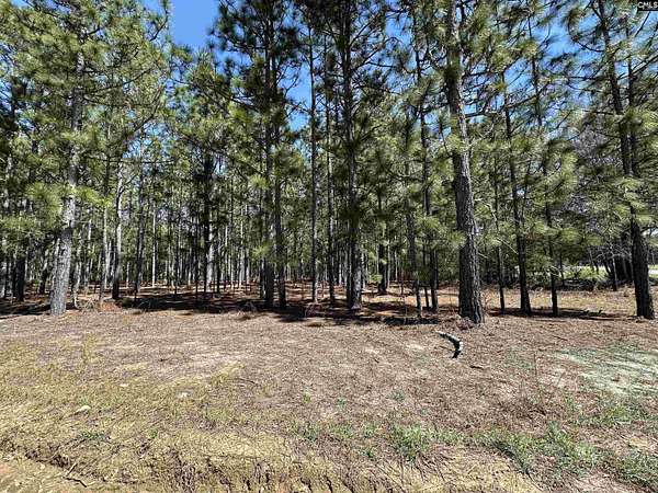 13 Acres of Land for Sale in Gaston, South Carolina