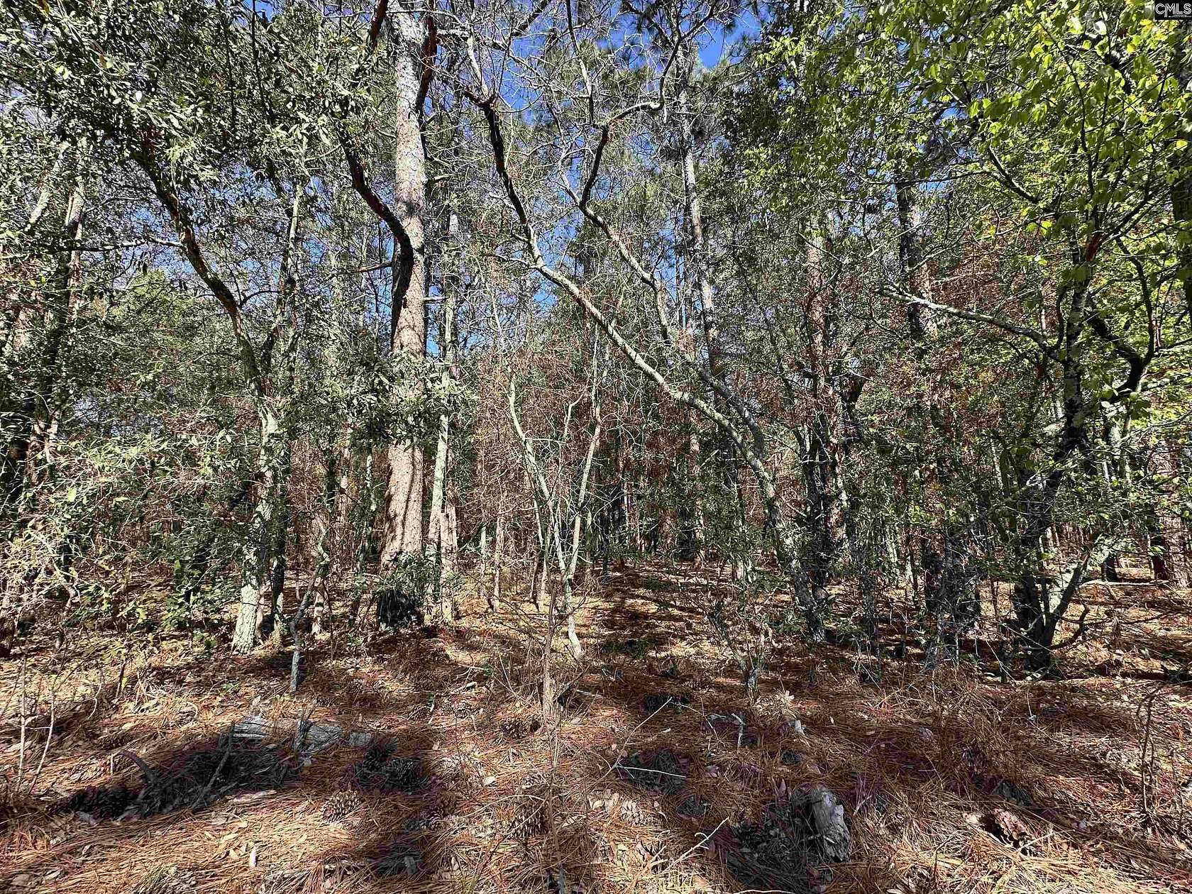 4 Acres of Residential Land for Sale in Gaston, South Carolina