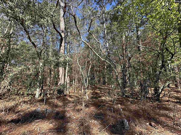 4 Acres of Residential Land for Sale in Gaston, South Carolina