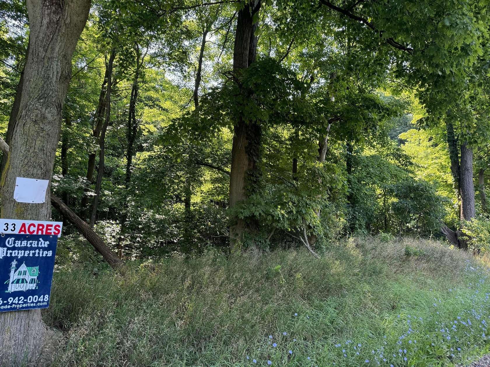 13.3 Acres of Recreational Land for Sale in Decatur, Michigan