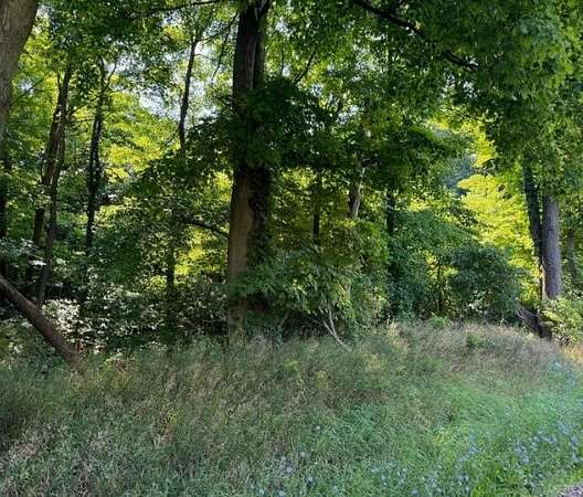 13.3 Acres of Recreational Land for Sale in Decatur, Michigan