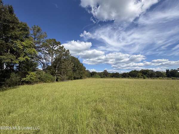4.16 Acres of Residential Land for Sale in Canton, Mississippi