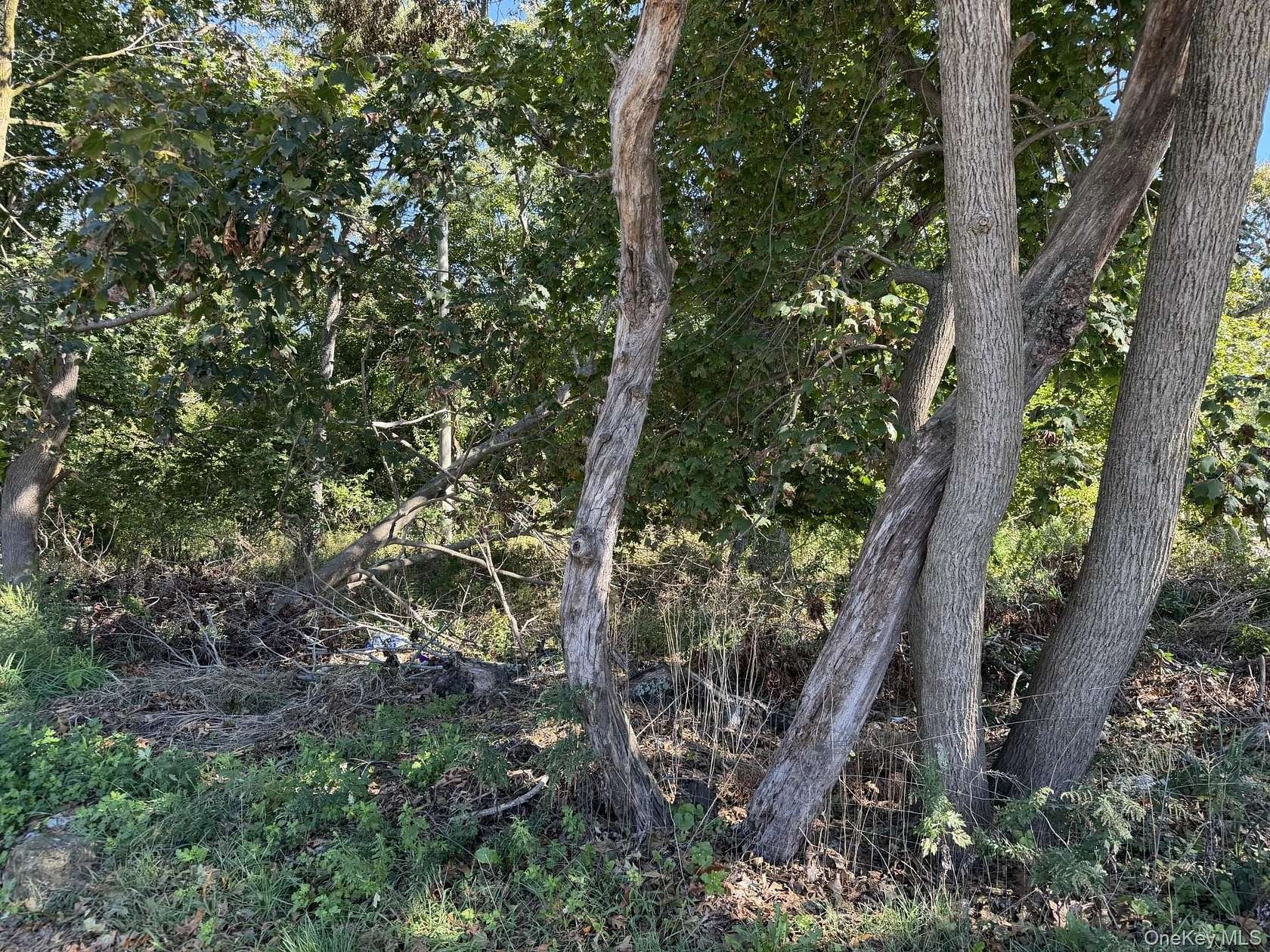 0.13 Acres of Land for Sale in Riverhead, New York