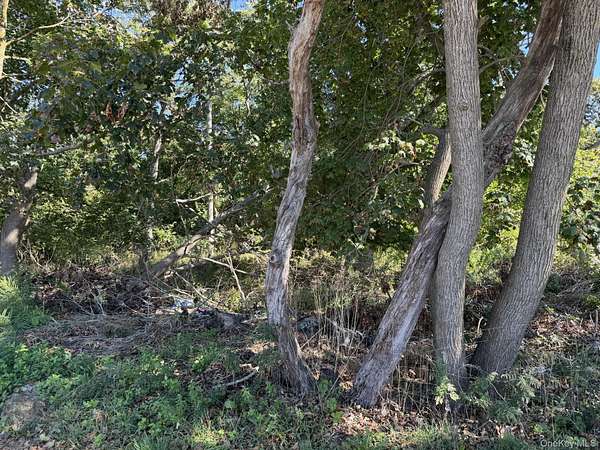 0.13 Acres of Land for Sale in Riverhead, New York