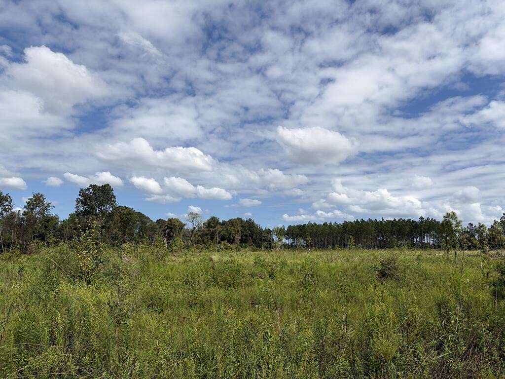 50.7 Acres of Land for Sale in Omega, Georgia