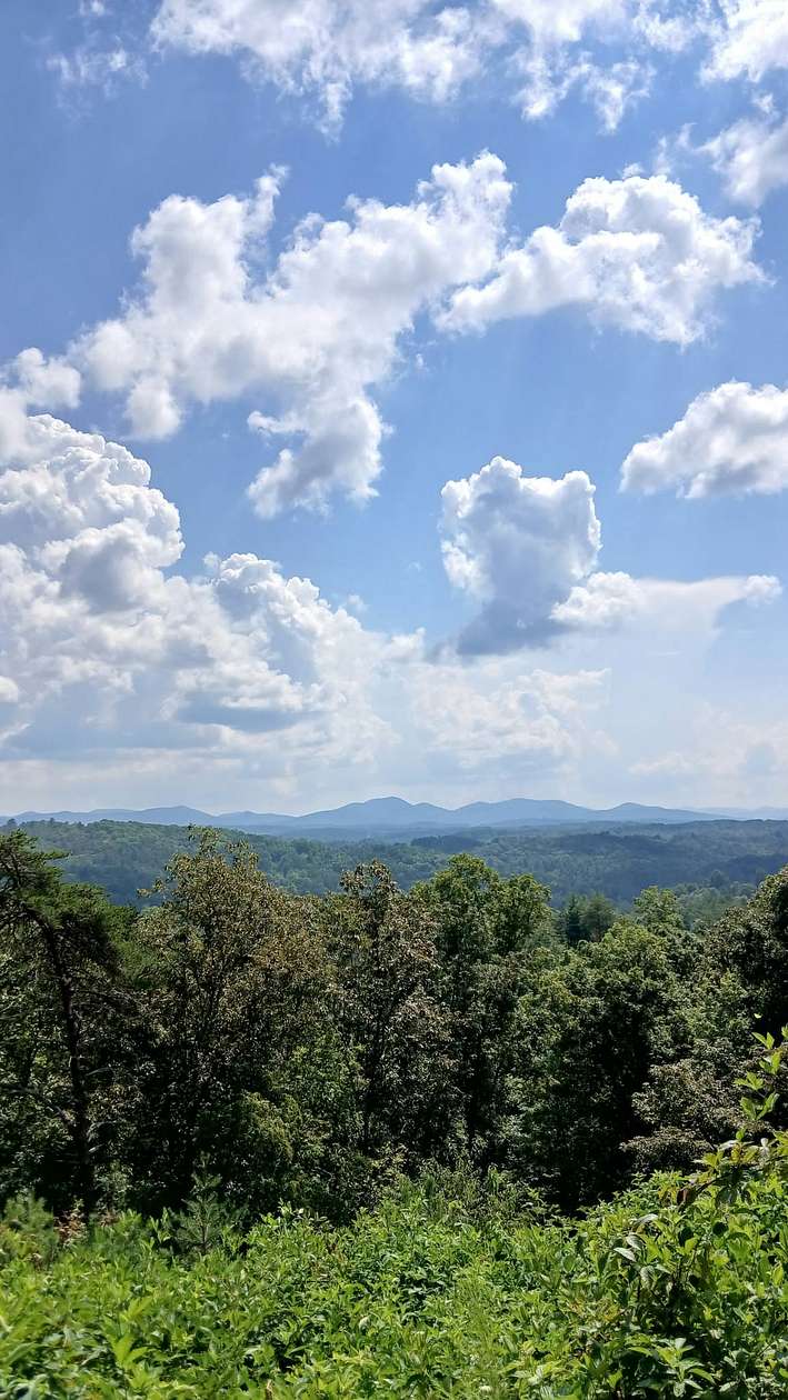 0.87 Acres of Land for Sale in Mineral Bluff, Georgia