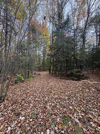 3 Acres of Residential Land for Sale in Garland, Maine