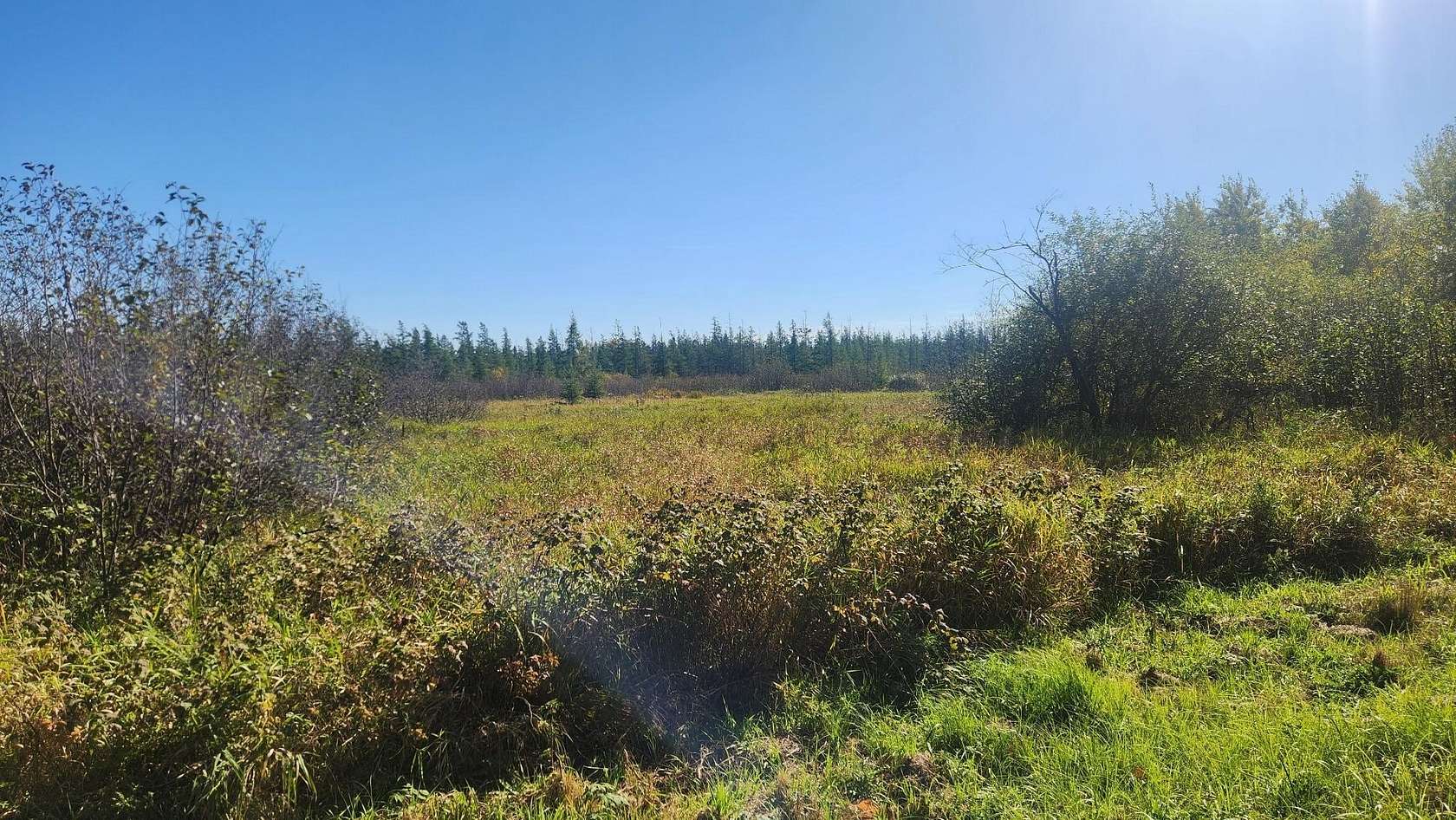 42 Acres of Recreational Land for Sale in Remer, Minnesota