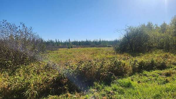 42 Acres of Recreational Land for Sale in Remer, Minnesota