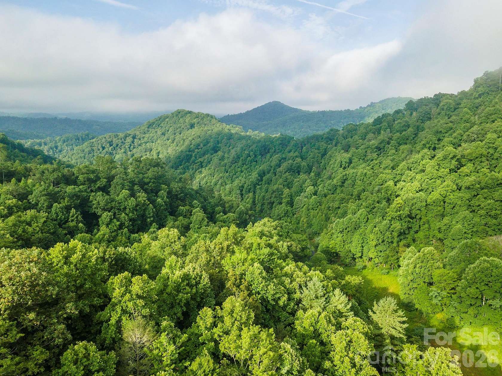 25 Acres of Land for Sale in Green Mountain, North Carolina